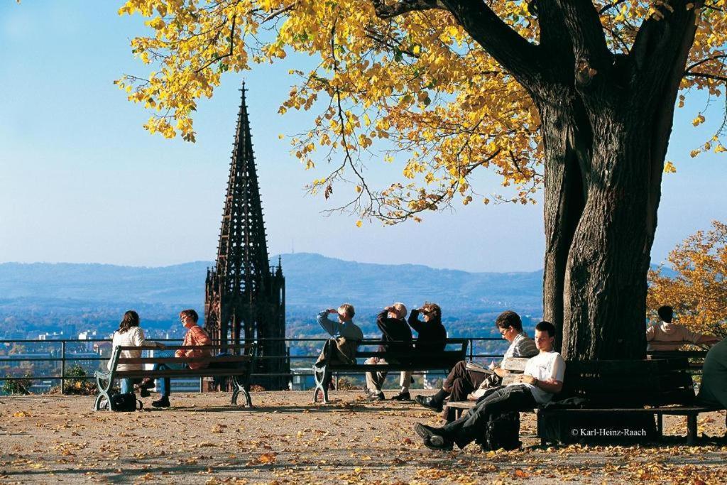 Designhotel Am Stadtgarten Freiburg im Breisgau Exteriör bild